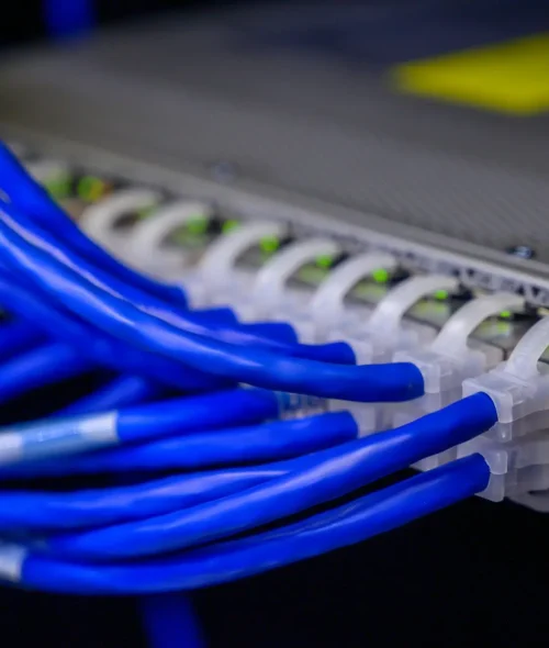 Detailed view of blue ethernet cables connected to a network switch in a data center.